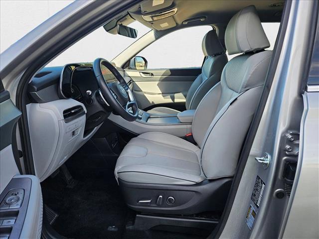 Photo of 2024 Typhoon Silver Hyundai PALISADE