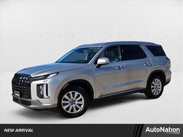 Photo of 2024 Typhoon Silver Hyundai PALISADE