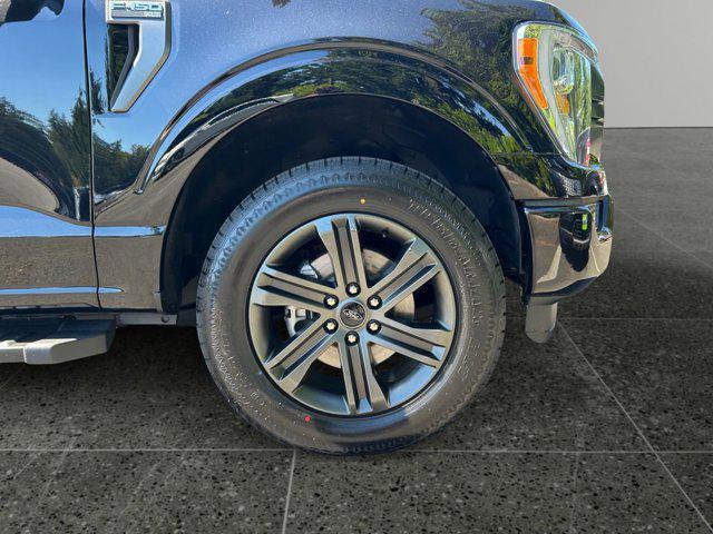 Photo of 2021 Agate Black Metallic Ford F-150