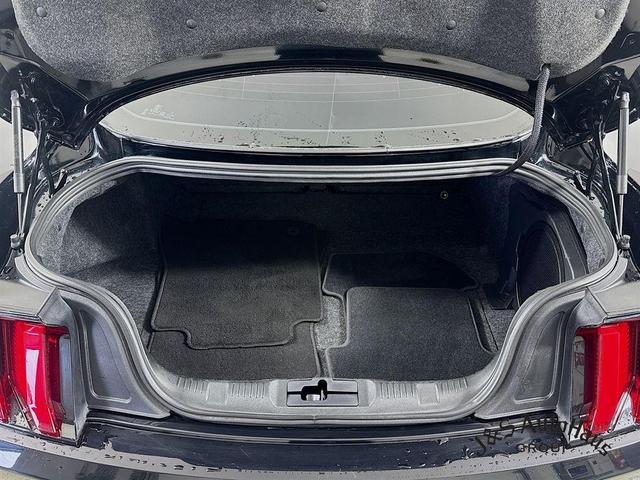 Photo of 2021 Shadow Black Ford Shelby GT500