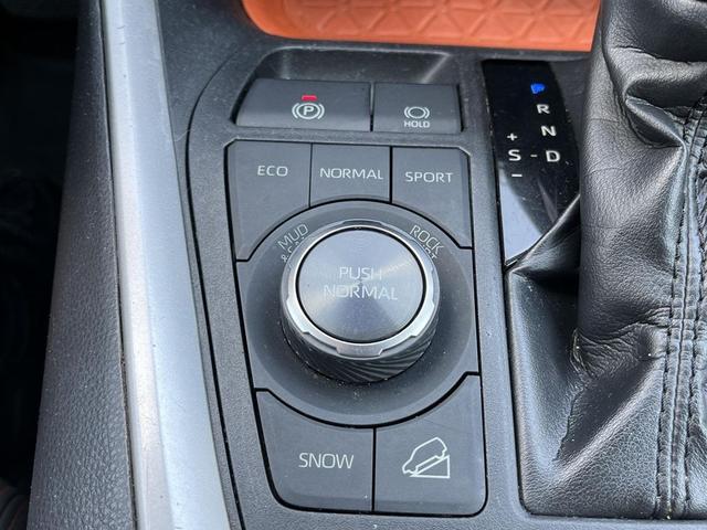 Photo of 2019 Lunar Toyota RAV4