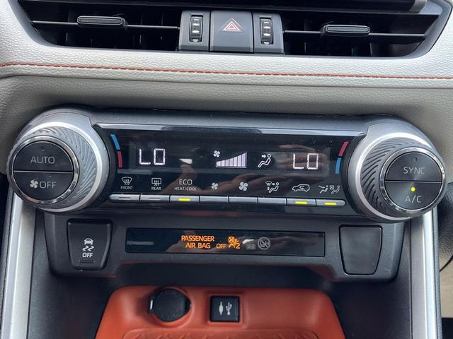Photo of 2019 Lunar Toyota RAV4