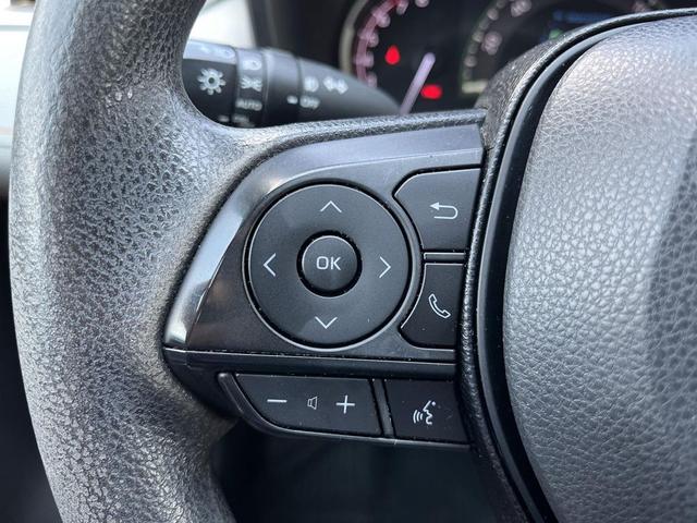 Photo of 2019 Lunar Toyota RAV4