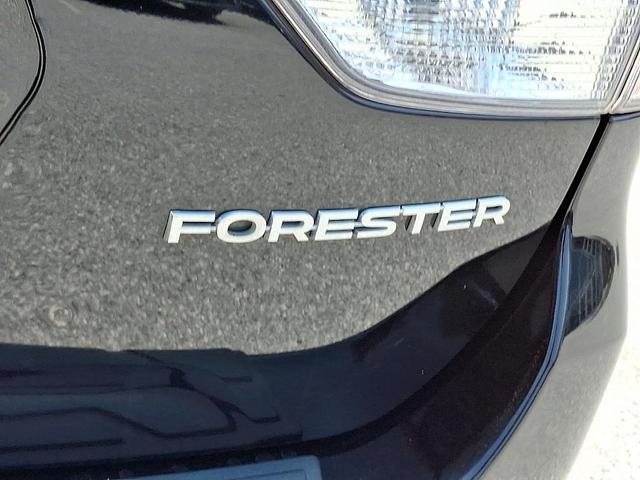 Photo of 2019 Crystal Black Silica Subaru Forester