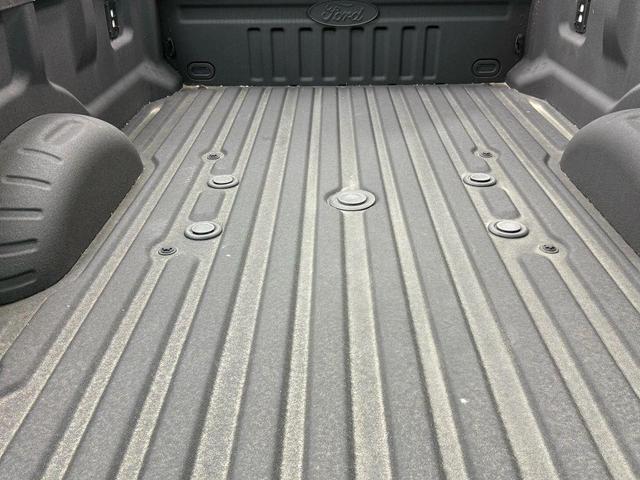Photo of 2024 Star White Metallic Tri-Coat Ford F-450