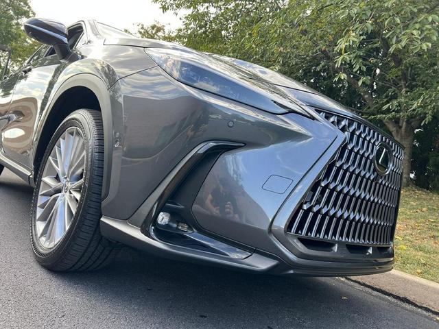 Photo of 2025 Cloudburst Gray Lexus NX 350