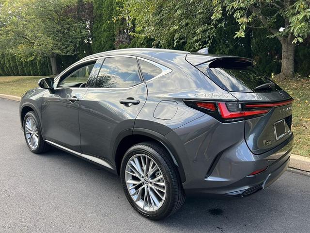 Photo of 2025 Cloudburst Gray Lexus NX 350