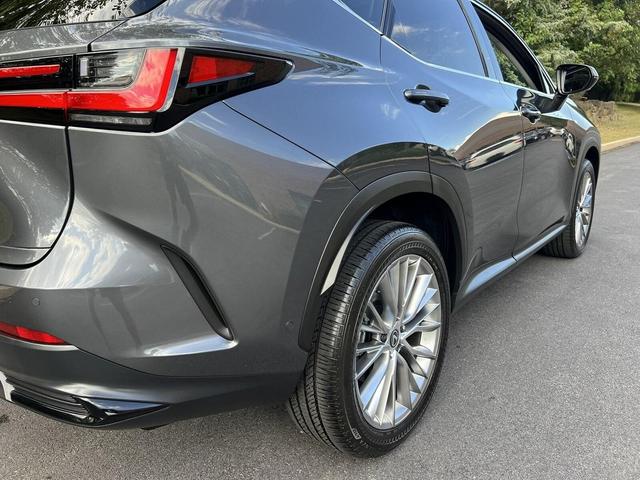 Photo of 2025 Cloudburst Gray Lexus NX 350