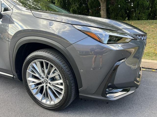 Photo of 2025 Cloudburst Gray Lexus NX 350