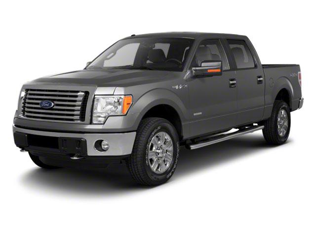 Photo of 2010 Ingot Silver Ford F-150