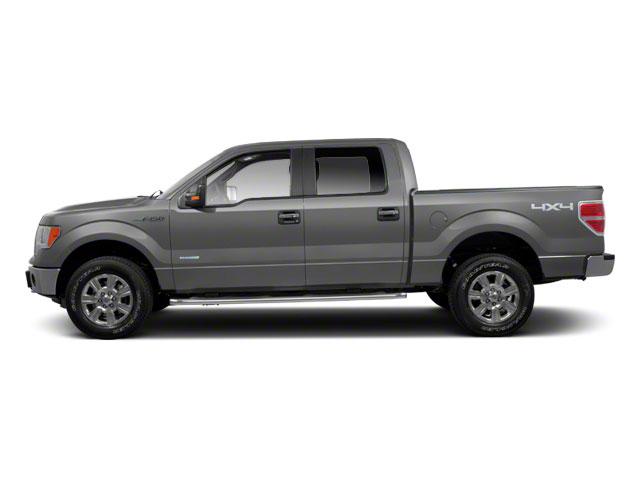 Photo of 2010 Ingot Silver Ford F-150