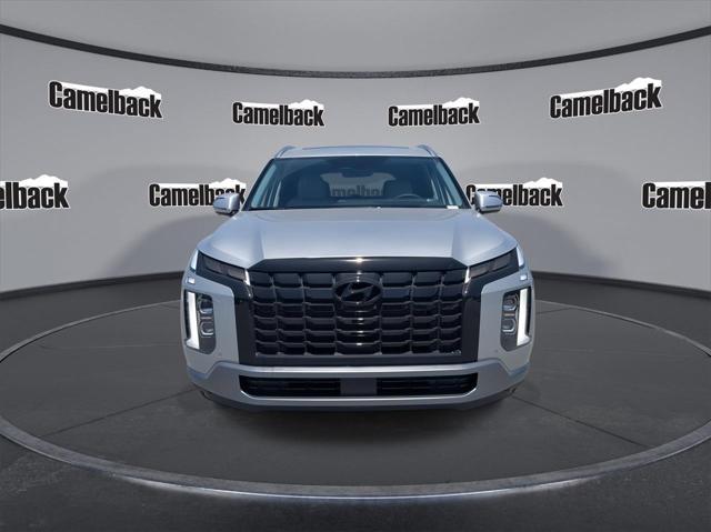 Photo of 2025 Typhoon Silver Hyundai PALISADE