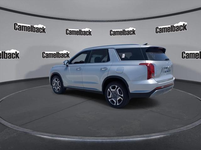 Photo of 2025 Typhoon Silver Hyundai PALISADE