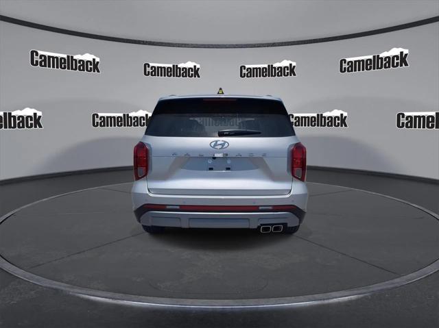 Photo of 2025 Typhoon Silver Hyundai PALISADE