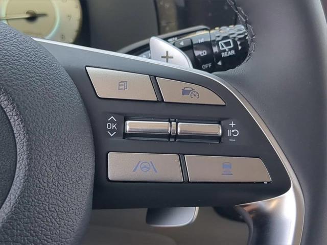 Photo of 2025 Typhoon Silver Hyundai PALISADE