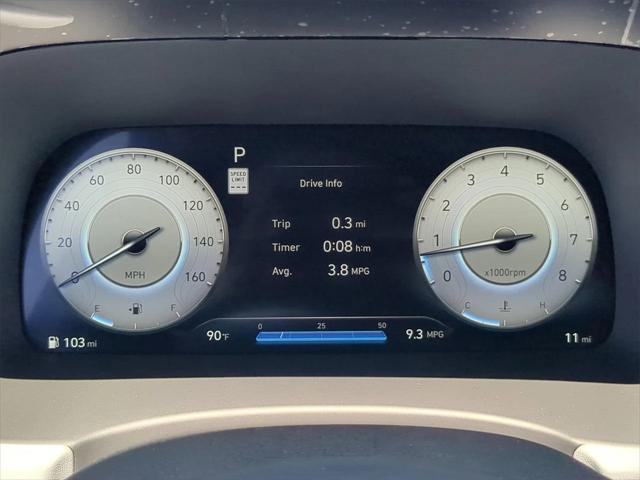 Photo of 2025 Typhoon Silver Hyundai PALISADE