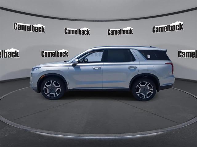 Photo of 2025 Typhoon Silver Hyundai PALISADE
