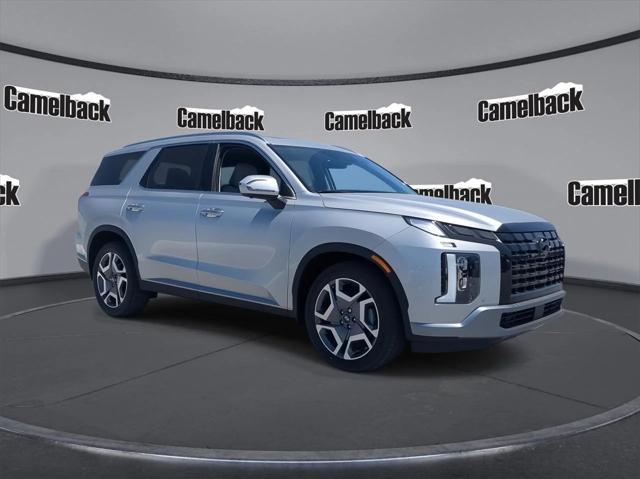 Photo of 2025 Typhoon Silver Hyundai PALISADE