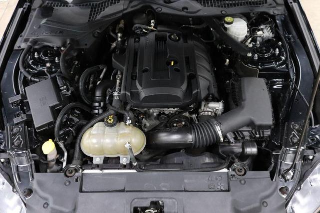 Photo of 2019 Shadow Black Ford Mustang