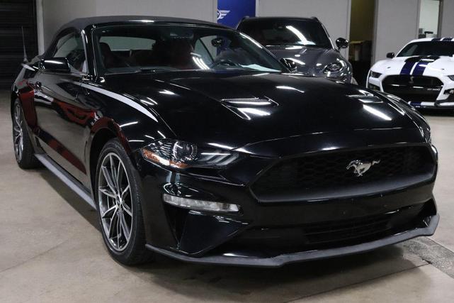 Photo of 2019 Shadow Black Ford Mustang