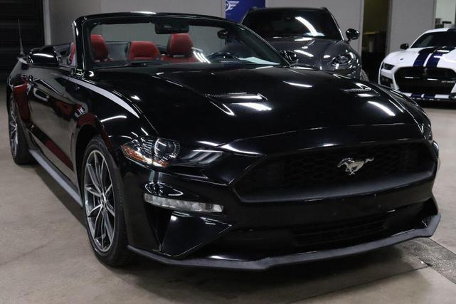 Photo of 2019 Shadow Black Ford Mustang