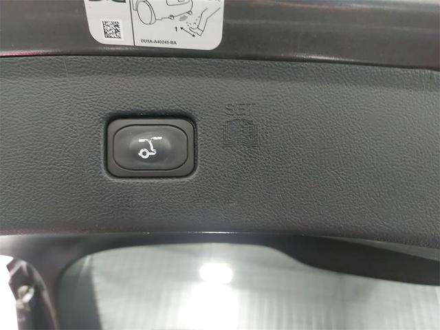 Photo of 2019 Magnetic Metallic Ford Edge