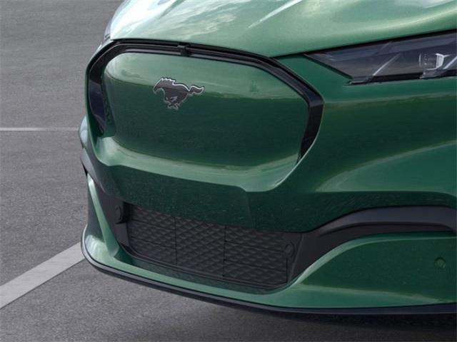 Photo of 2025 Eruption Green Metallic Ford Mustang Mach-E