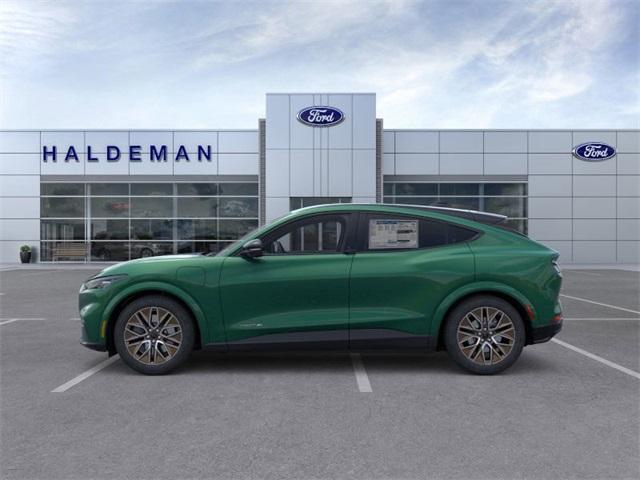 Photo of 2025 Eruption Green Metallic Ford Mustang Mach-E