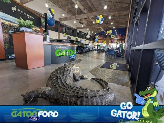 Photo of 2025 Oxford White Ford Transit-150