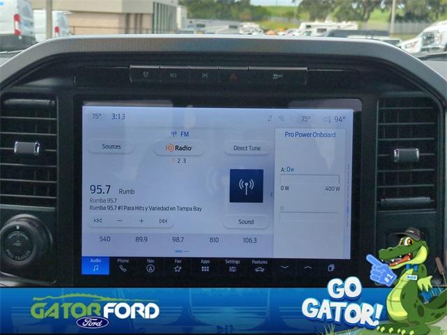 Photo of 2024 Carbonized Gray Metallic Ford F-150