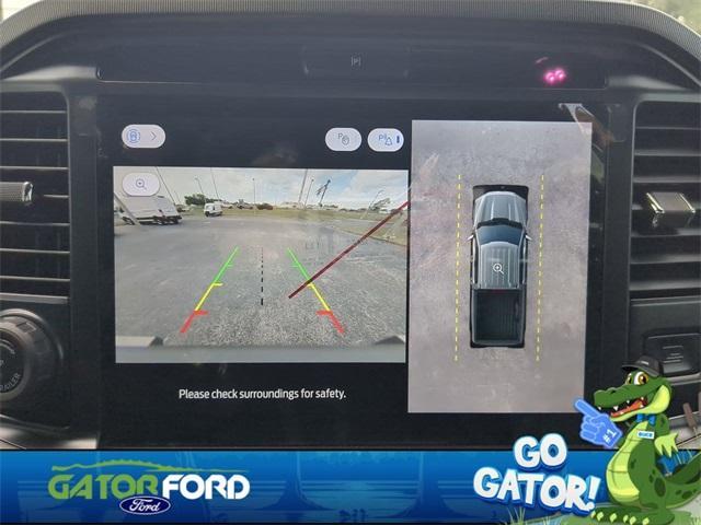Photo of 2025 Silver Ford F-150