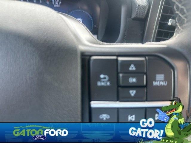Photo of 2024 Blue Metallic Ford F-150