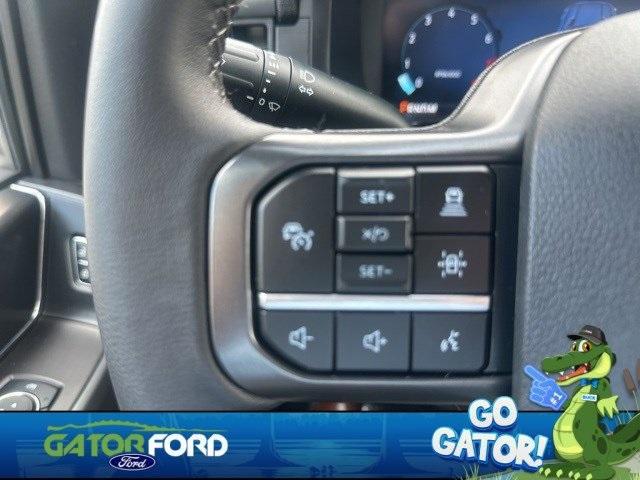 Photo of 2024 Blue Metallic Ford F-150