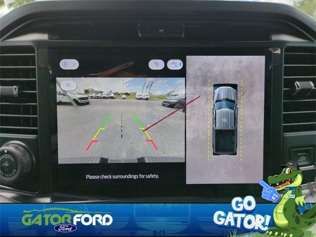 Photo of 2025 Black Ford F-150