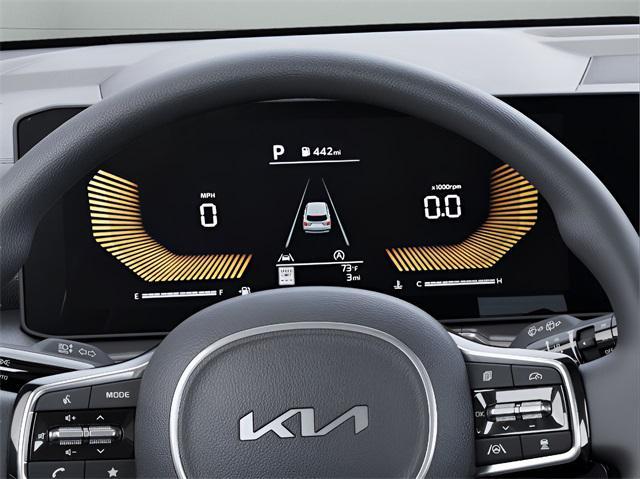 Photo of 2025 Ebony Black Kia Sorento