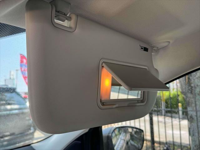 Photo of 2019 Magnetic Ford Escape