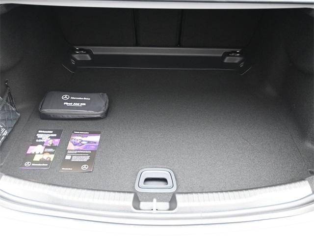 Photo of 2025 Alpine Mercedes-Benz C-Class
