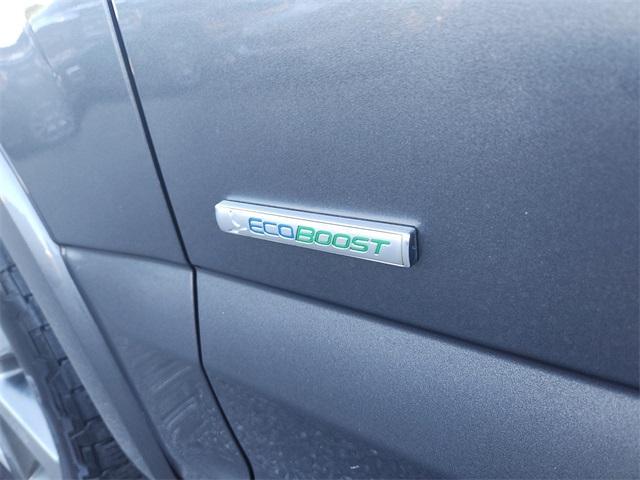 Photo of 2016 Magnetic Ford F-150