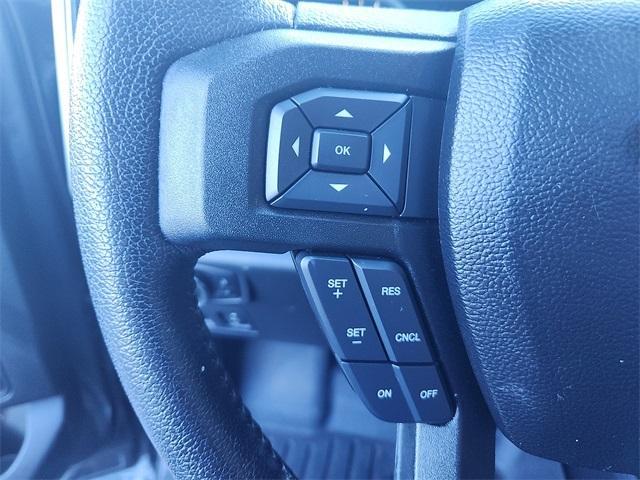 Photo of 2016 Magnetic Ford F-150