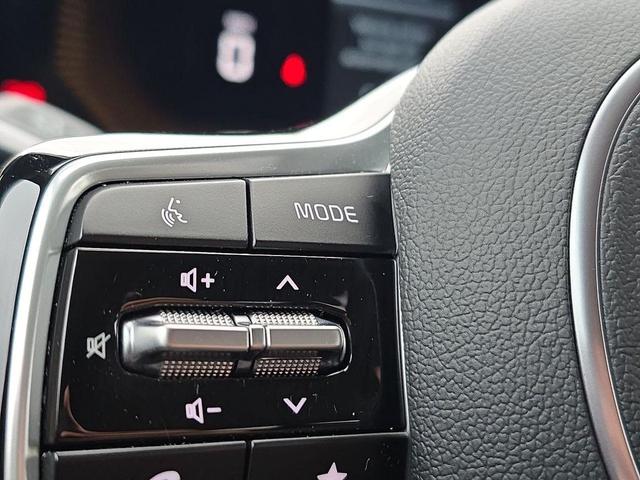 Photo of 2025 Ebony Black Kia Sorento