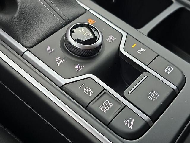 Photo of 2025 Ebony Black Kia Sorento