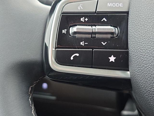 Photo of 2025 Ebony Black Kia Sorento
