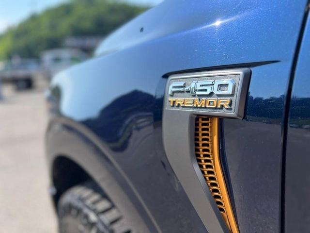 Photo of 2022 Blue Metallic Ford F-150
