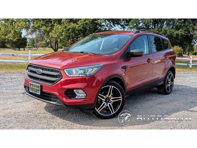 2019 Ford Escape