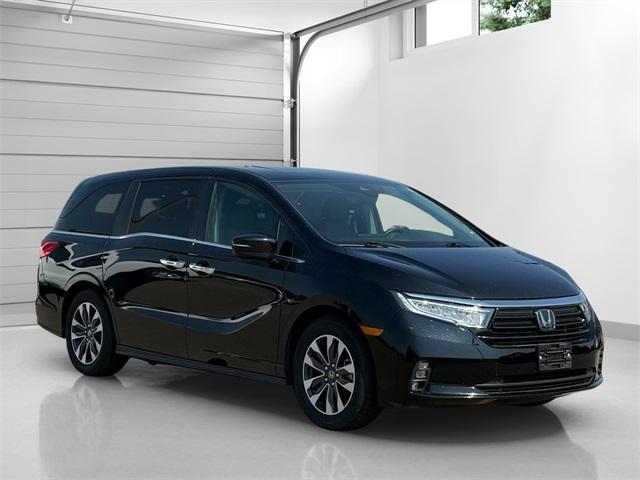 Photo of 2024 Black Honda Odyssey