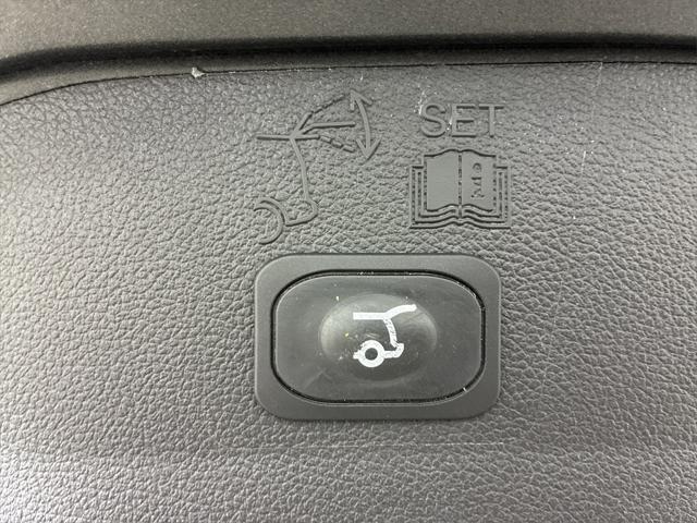 Photo of 2019 Magnetic Ford Escape