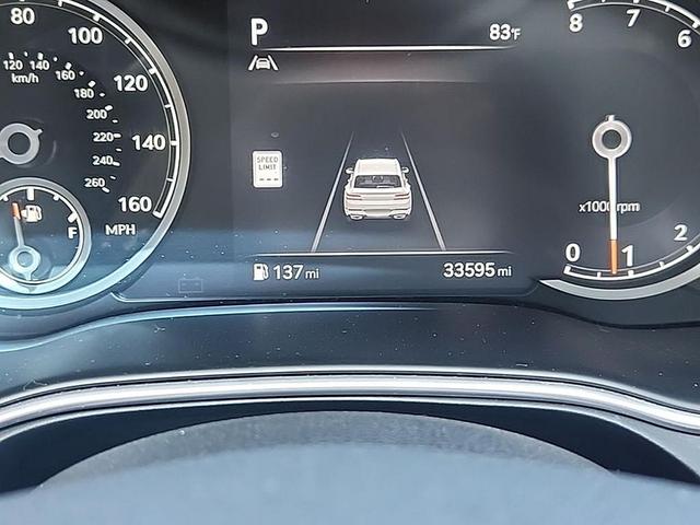 Photo of 2024 Vik Black Genesis GV80