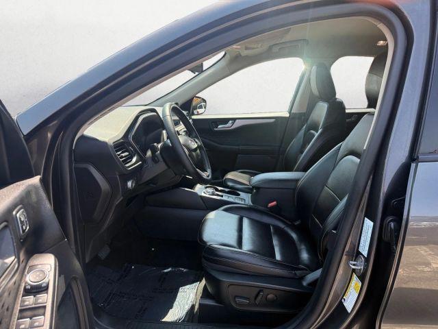 Photo of 2020 Magnetic Ford Escape