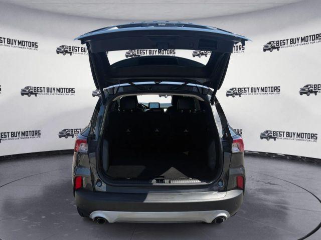 Photo of 2020 Magnetic Ford Escape