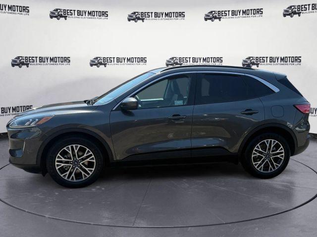 Photo of 2020 Magnetic Ford Escape